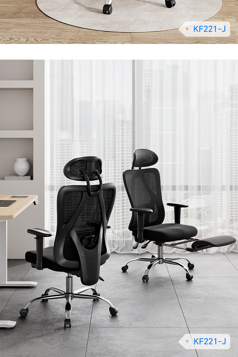 Deli KF221-J Ergonomic Chair, Height Adjustable Armrest Office Computer Chair, Alloy Feet with Footrest, Premium Versio 27