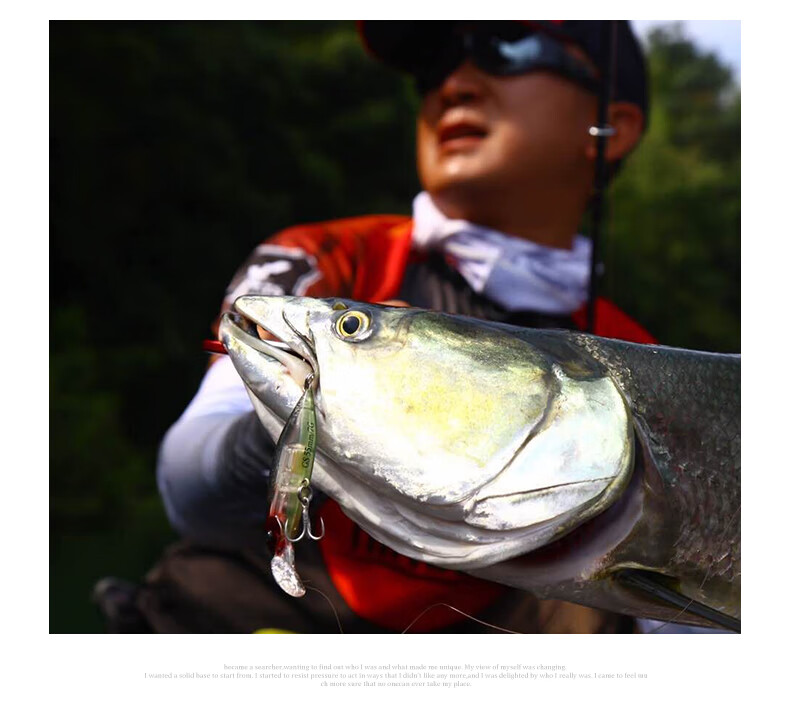 Guowangluya Lure Fishing Bait Set: Sinking Minnow Long-Casting Vibrating Sinking Bait for Freshwater Bass And Artificial Fish Bait 8