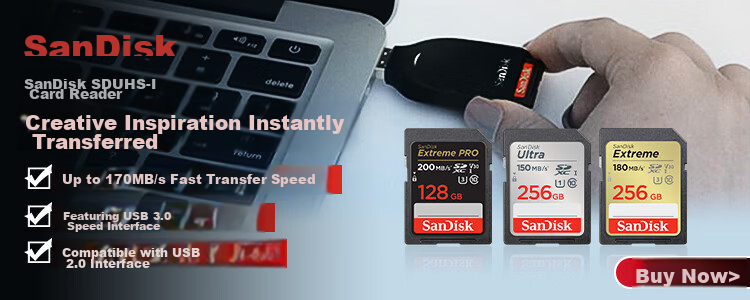 SanDisk 256GB SD Memory Card C10 for Full HD Video Recording, Mirrorless/DSLR Digital Camera Storage Card, Durable And High-Value 2