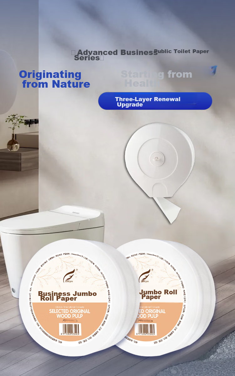 Feiyu Large Core Roll Toilet Paper, 4-Ply, 650g*12 Rolls, Commercial Use, Thick And Absorbent, Hotel Bathroom Tissue, Whole Box F650 2