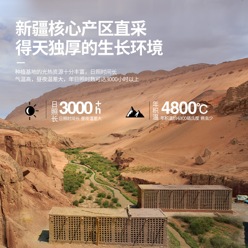 南疆巴朗 葡萄干特级绿香妃750g大颗粒新疆特产提子干零食礼品