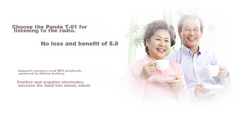 Panda T-01, Gift for The Elderly, Mini Three-Band Semiconductor, Full Band Radio, Card-Slot Lithium Battery Digital Audio Player (Silver) 16