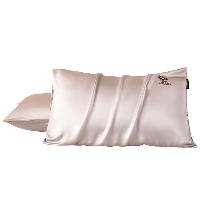 Teenie Weenie Bear Silk Pillowcase A Grade 100% Mulberry Silk 19 Momme Silver Single Pillowcase