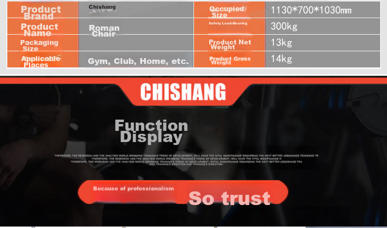 Chishang Roman Chair Back Muscle Trainer, Home-Use Waist And Back Exercise Equipment, Foldable Back Support Device 2