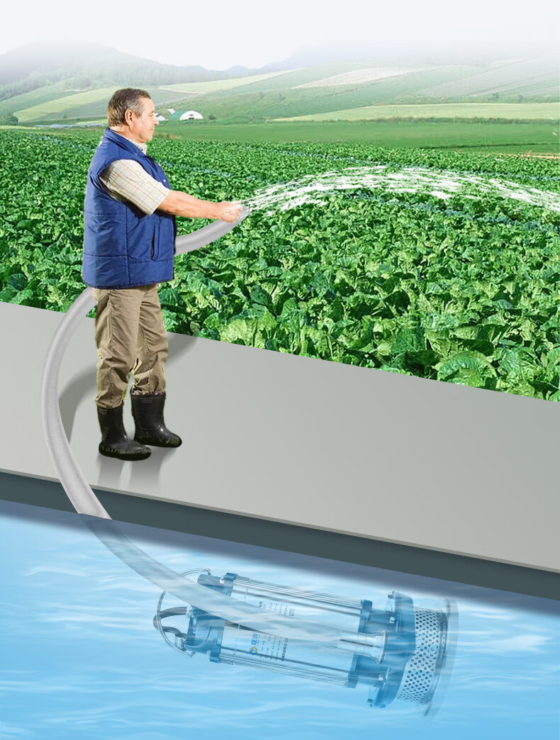 CHENYUAN Submersible Pump, 220V Household Stainless Steel Sewage Pump, Automatic with Float Ball, Agricultural Water Pump for Farmland Irrigatio 6