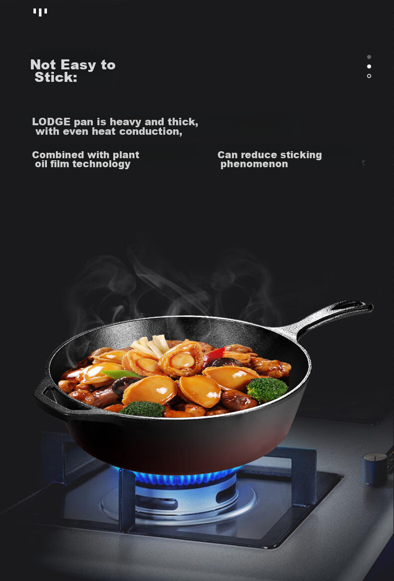 LODGE [Imported from USA] 26cm Flat Bottom Deep Frying And Stewing Pot, Non-Coated Non-Stick Cast Iron Pan L8DSK3 4