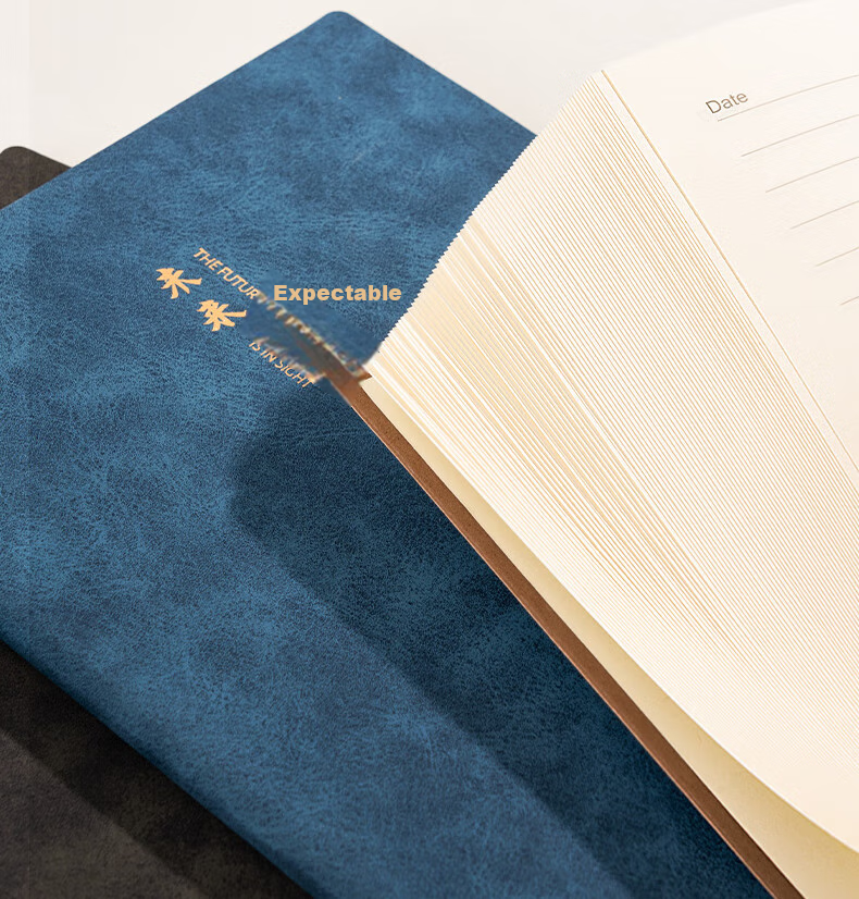 Deli A5 Lambskin Notebook, Leather Cover, Business Office Journal, Fashionable Text Series (Looking Forward), 80 Sheets BP152 Blue 11