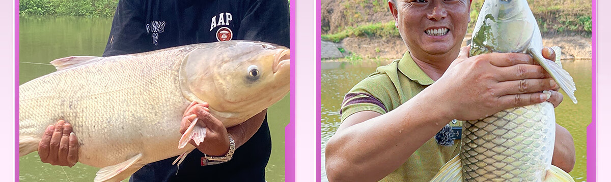 Chuanze Mange Heavy-Duty Fishing Rod, Handheld Rod, Top Ten Brands, Light And Hard Giant Fish Rod, Grass Carp And Bighead Carp Rod, 5.4 Meters 14