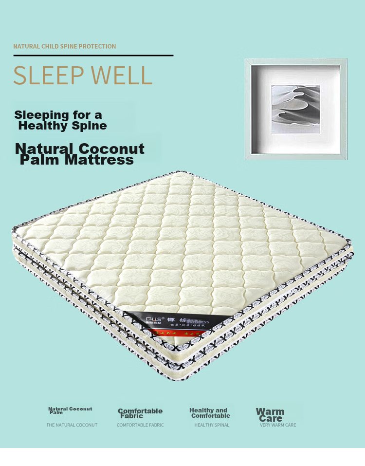 Pengyoujiasi Mattress, Folding Mattress, Coconut Palm Fiber Mattress, Knitted Fabric, 90*190CM, PY-Z09 1