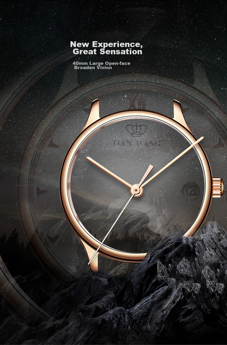 TIAN WANG Men's Watch, Birthday Gift Leather Strap Quartz Men's Watch Rose Gold GS31132P.D.LC.W 4