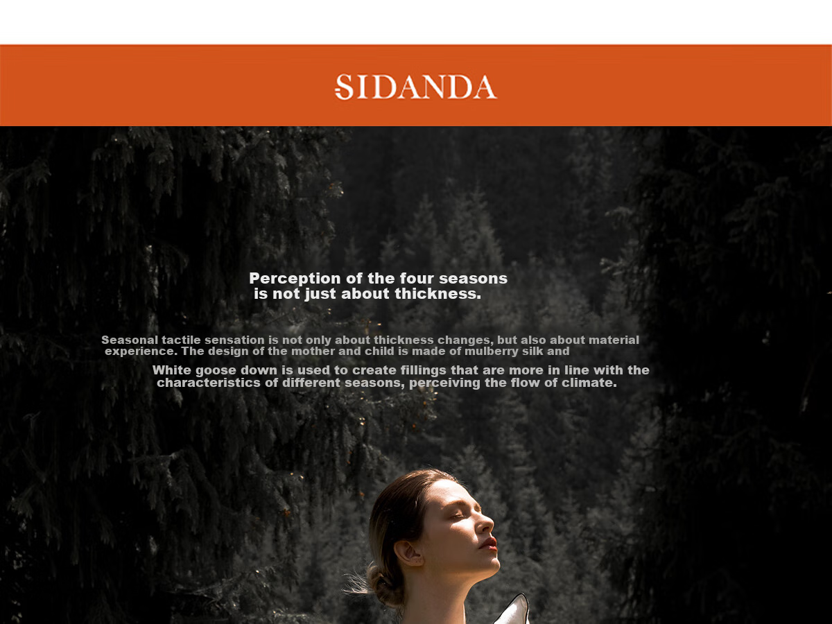 SIDANDA Children's Duvet Set: 95% White Goose Down + 100% Mulberry Silk, All-Cotton Winter Comforter, 200*230cm 1