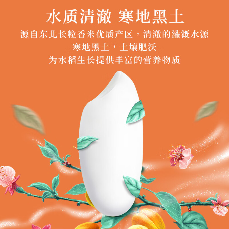 十月稻田 当季新米 长粒王香米 10斤（东北大米 长粒香米 5公斤）