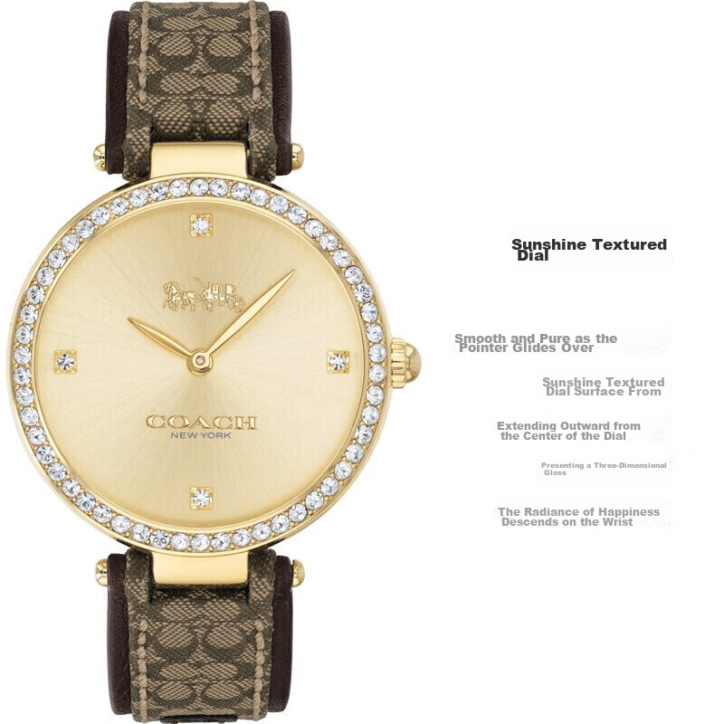 COACH PARK Series, Leather Strap Quartz Women's Watch, 14503456, Gift/giving