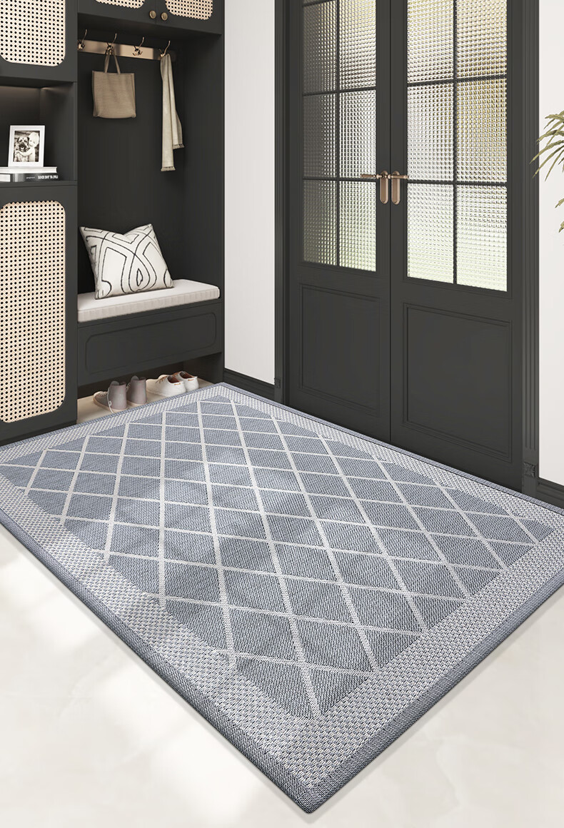 Dajiang Entrance Door Mat 2026 New Model Doorway Floor Mat Carpet 60x90cm 14