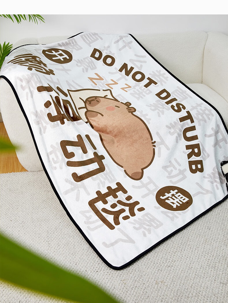 Shandian Capibara Office Student Nap Blanket, Summer Air Conditioning Sofa Nap Shawl Blanket, Cover Blanket 6