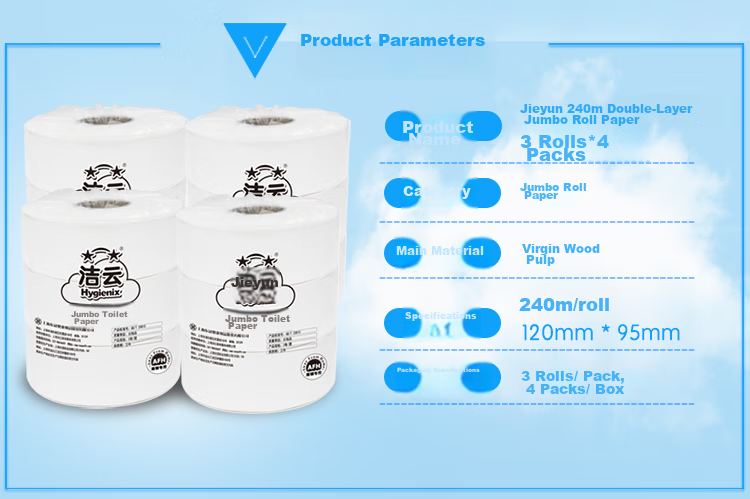 Hygienix Commercial Core Roll Toilet Paper, 2-Ply, 240 Meters * 12 Rolls, Whole Box of Toilet Paper for Shopping Malls, Hotels, And Office Use 4
