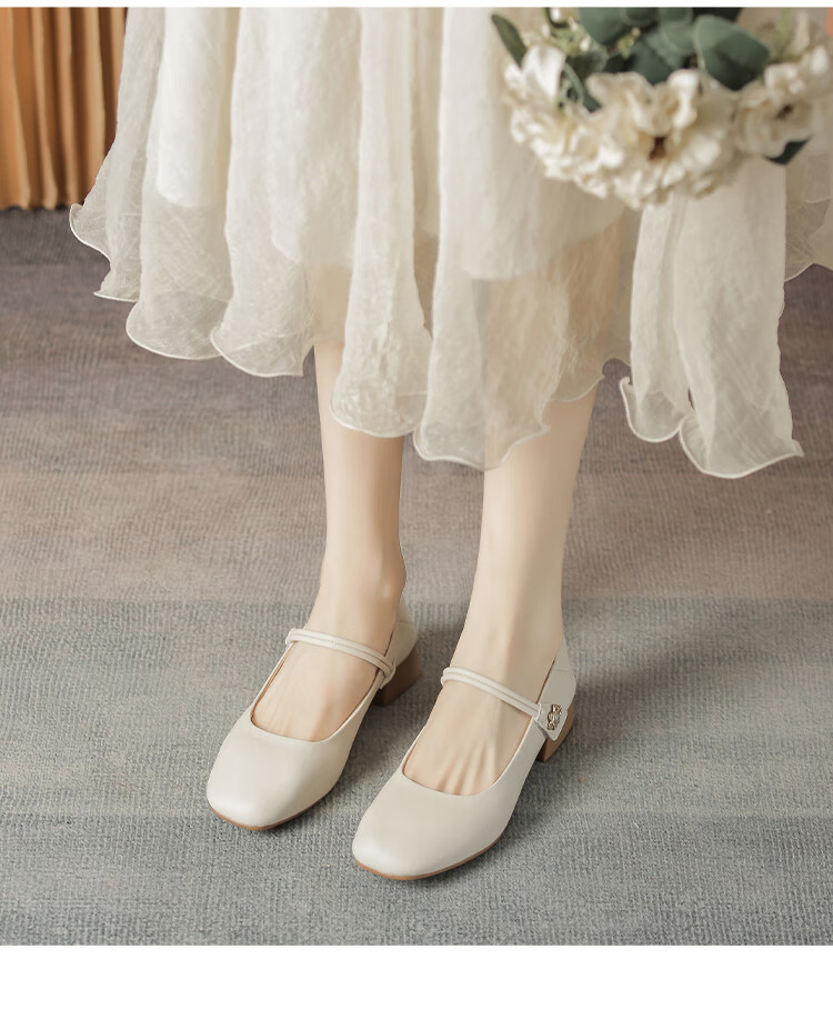 ZHR Women's Single Shoes Elegant One-Strap Mary Jane Shoes with Chunky Heel Fashionable Women's Shoes AH506 Apricot Color Size 36 14