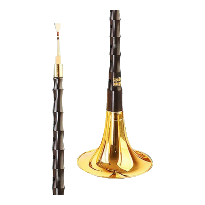 HongYiFengMing Internet-Famous Ebony D-Tune Golden Bowl Suona Instrument Set for Beginners, Professional Suona for Exams And Performances