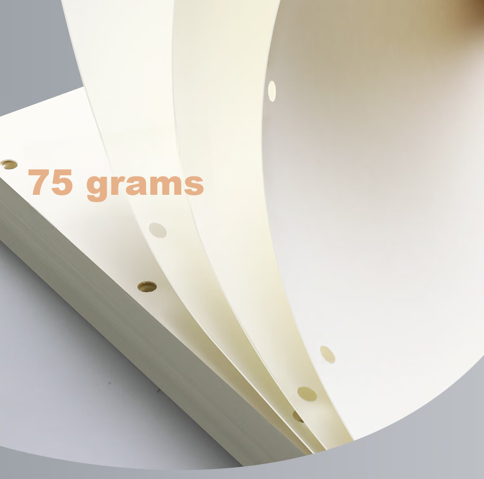 Faramon [Lowest Price Online] Blank Refill Notebook Compatible with 4-Hole A4, 80 Sheets Loose-Leaf Paper, Blank Thickened Replacement Inner Pages, A4-Blank Inner Pages 8