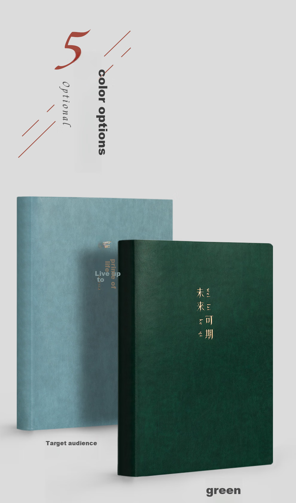 Jiaranheng Business Minimalist Notebook, B5 Large Size, Extra Thick, 416 Pages, Journal, Stationery, Student Review Diary, Office Log Book, Meeting Record Book, Customizable, Pink 3