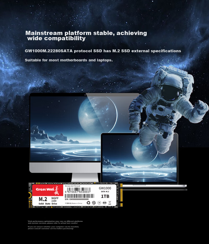 Great Wall 256GB SSD Solid State Drive, M.2 Interface SATA Protocol, Read Speed 540MB/s, GW1000 Series 5