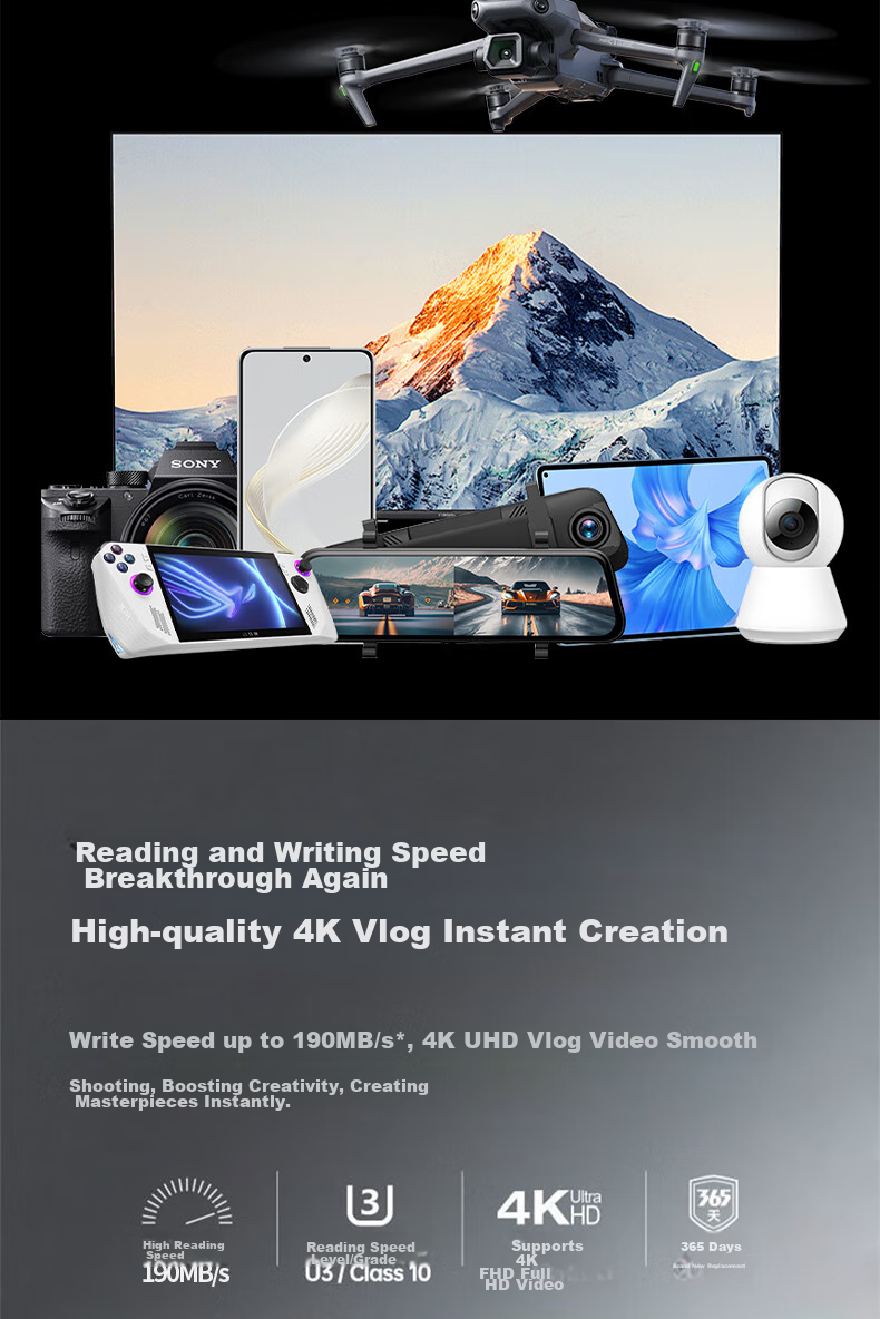 DAJINGYU, Big Whale TF Card (Micro SD), 64GB, DJI Pocket 3/4 Memory Card, Action 5 Sports Camera Storage Card, Compatible with Drones And Game Consoles 5
