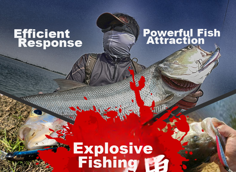 Guowangliya Lure Fishing Bait, Invisible Sinking Minnow Lure, Long-Distance Casting, Wiggling And Sinking, for Sea Bass, Perch Fish And Bass 6