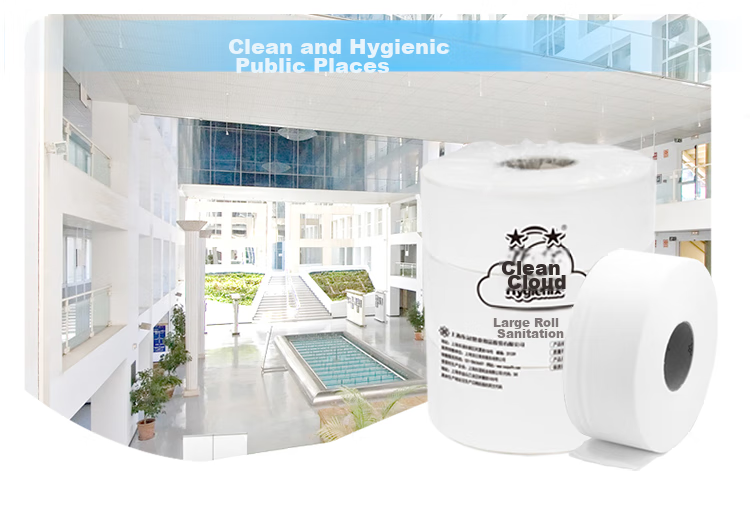 Hygienix Commercial Core Roll Toilet Paper, 2-Ply, 240 Meters * 12 Rolls, Whole Box of Toilet Paper for Shopping Malls, Hotels, And Office Use 11
