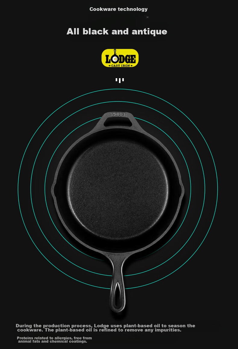 LODGE [Imported from USA] 30CM Steak Non-Stick Cast Iron Pan without Coating, Universal Frying Pan L10SK3 16