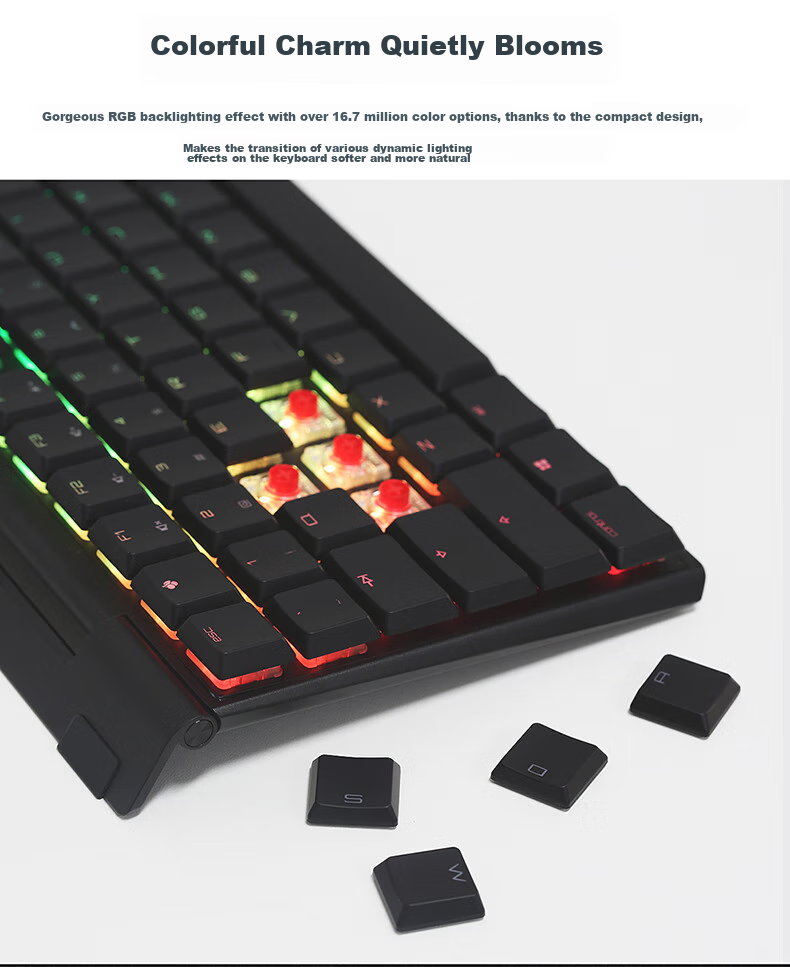 CHERRY MX10.0 Mechanical Keyboard, Wired Keyboard, Gaming Keyboard, RGB Lighting Effects, Ultra-Thin Body, Alloy Shell, Black, MX LP Switches 4