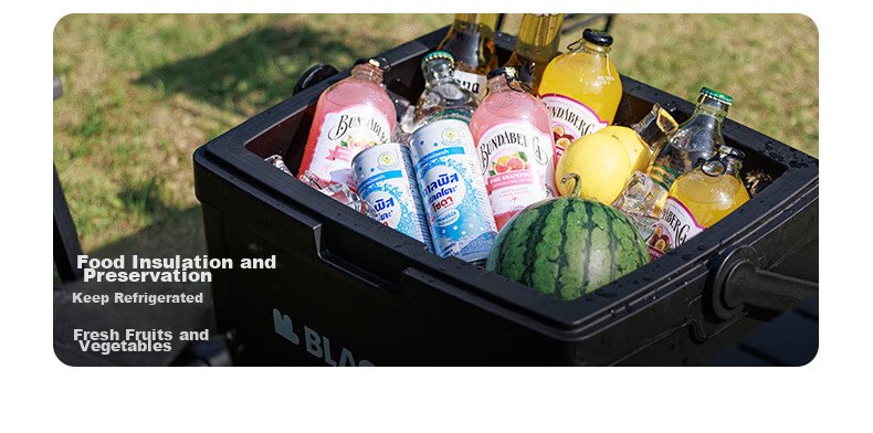 Black Dog Outdoor Cooler Box for Camping, Picnic, Cold Storage, Food Preservation, Takeout And Fishing, 25L Night Black 3
