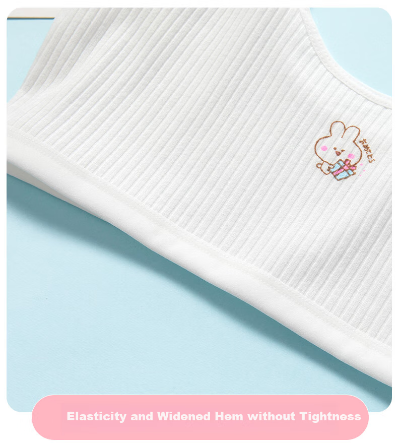 Dingguagua 2-Piece Girls' Underwear, First Stage Children's Puberty Cotton Anti-Nipple Show Bra for 8-14 Year Old Girls 12