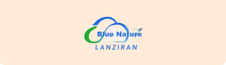 LANZIRAN Disposable Tableware Plates Large Size 9 Inch * 20 Pieces Natural Color Sugarcane Pulp Biodegradable Paper Plates for Picnic And Camping 23