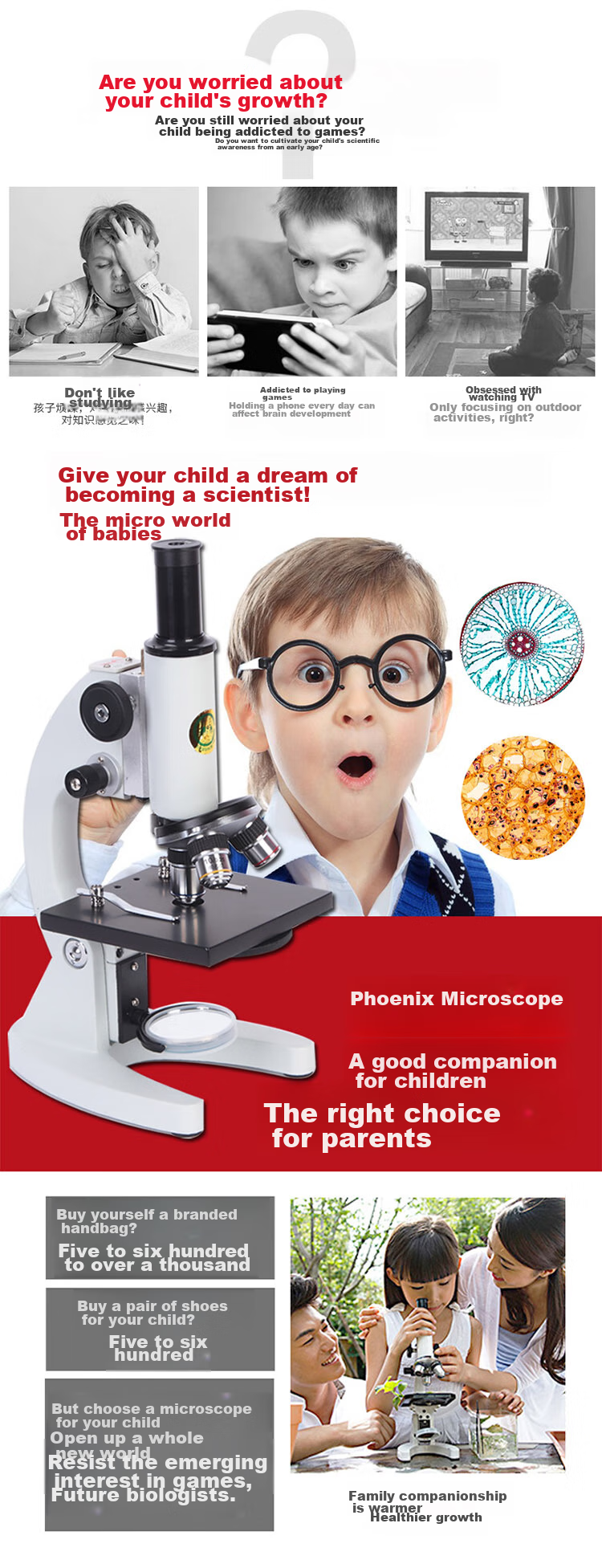 Phenix XSP-02 Monocular Biological Microscope, 640x Magnification, Professional High-Definition, for Primary School And Middle School Entrance Exams, Teaching Model 2