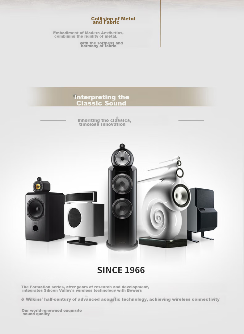 Baohuaweijian Formation Bass Wireless Bluetooth Home Subwoofer Speaker B&W Home Theater HIFI Active Subwoofer Speaker Gift for World Cup 5
