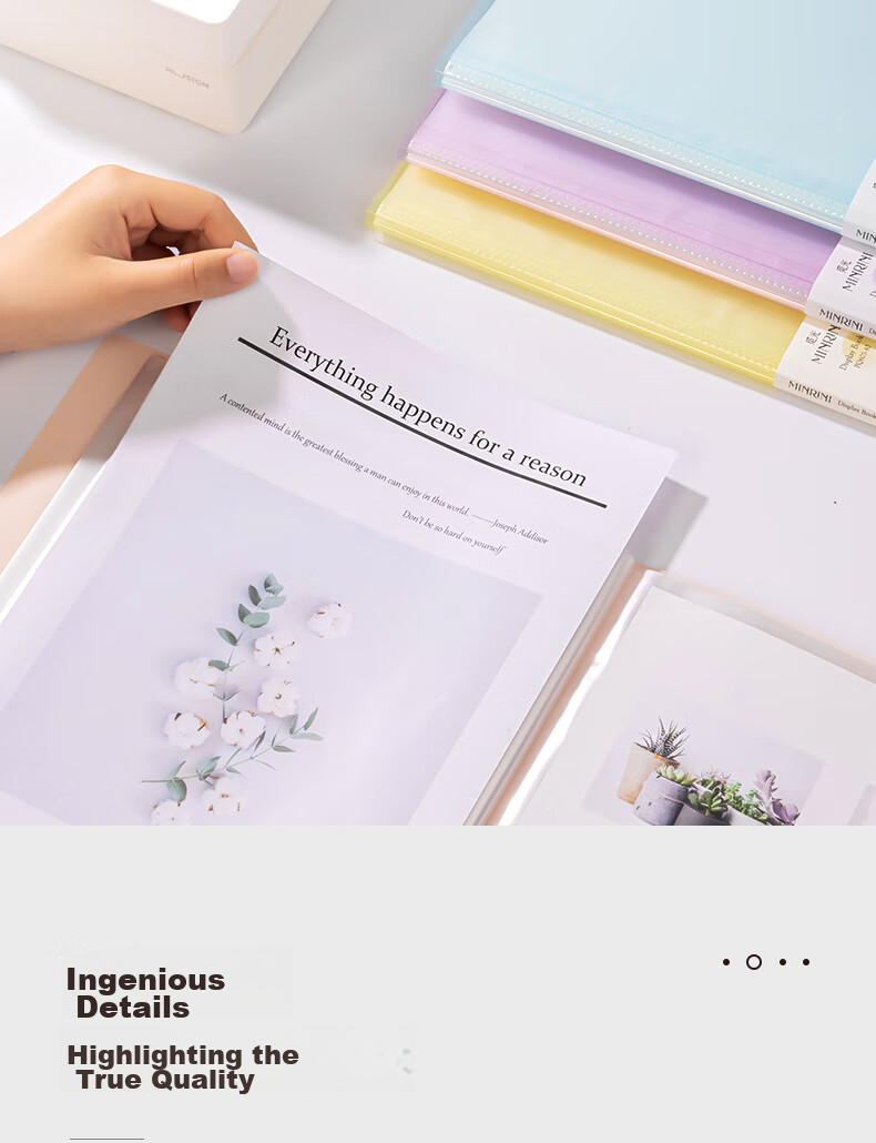 Deli A4 PP Skin-Friendly Document Folder with Sleeves for Prenatal Check-Ups, Report Storage, Certificates Collection, And Sheet Music Organizer - Random Color PQ603-30 11