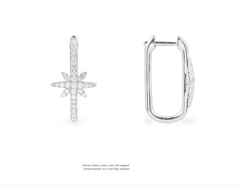 APM Monaco Meteorite Rectangular Hexagram Earrings, Luxurious And Elegant Ear Jewelry, Gift for Girlfriend Or Wife 4