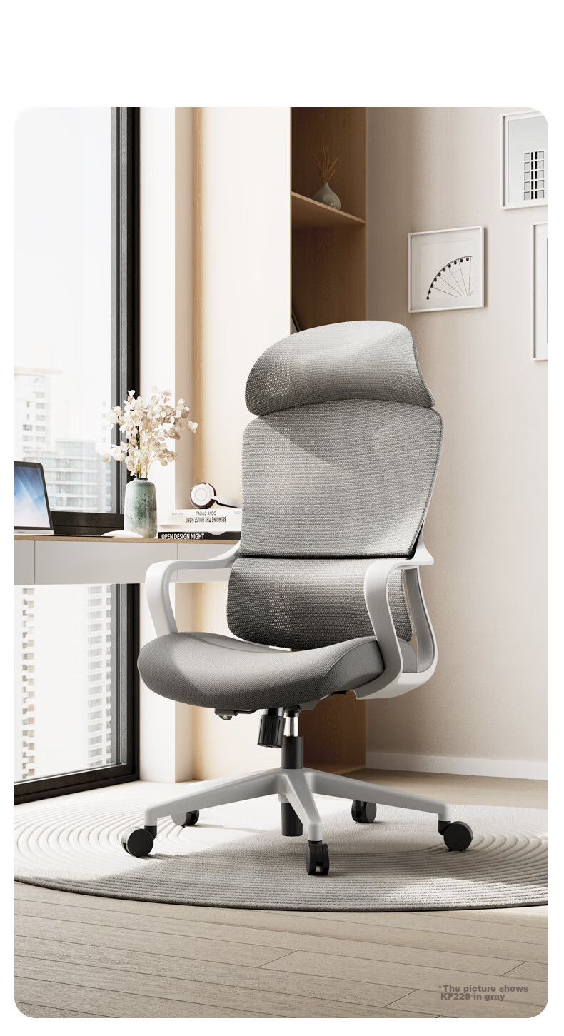 Deli KF229 Ergonomic Chair, Dual Back Structure Office Chair Computer Chair, Comfortable Long-Sitting Gaming Chair, Black 13