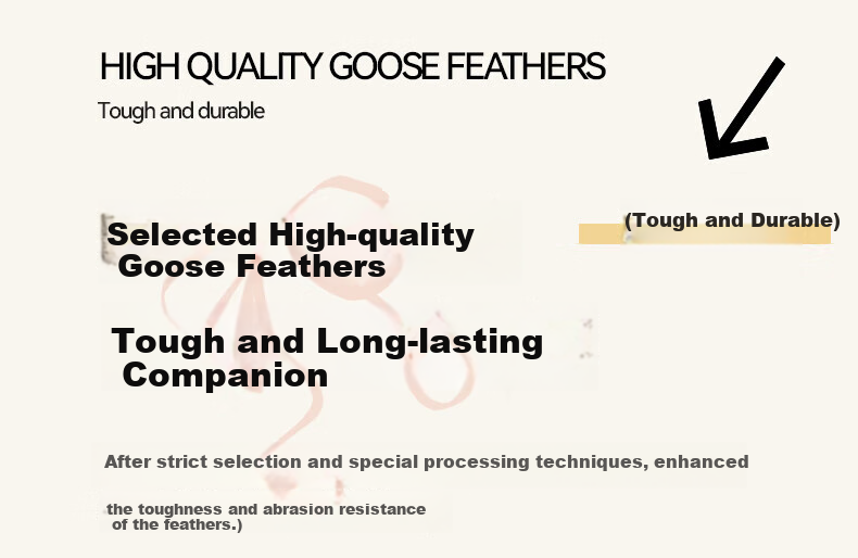 Kawasaki Badminton Shuttlecocks, Durable And Stable for Competition And Training, Goose Feather, Princess in Flight, Size 6, Pack of 12 5