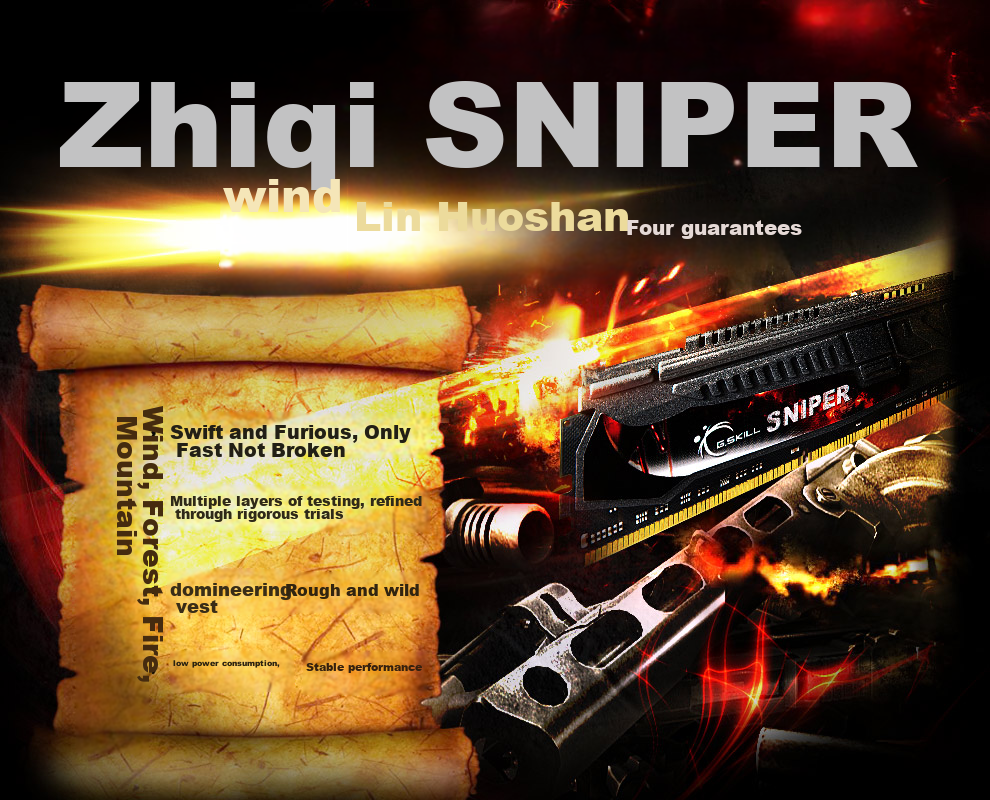 G.SKILL Sniper DDR3 2400MHz 8GB (8G×1) Desktop Memory 13