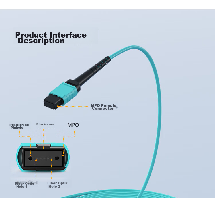 Nokoxin 5-Meter Engineering Telecom-Grade MPO-MPO Female Connector, Multi-Mode 8-Core OM3 Bundled Data Center Server Optical Module, MTP Fiber Optic Cable, 40G/100G 14