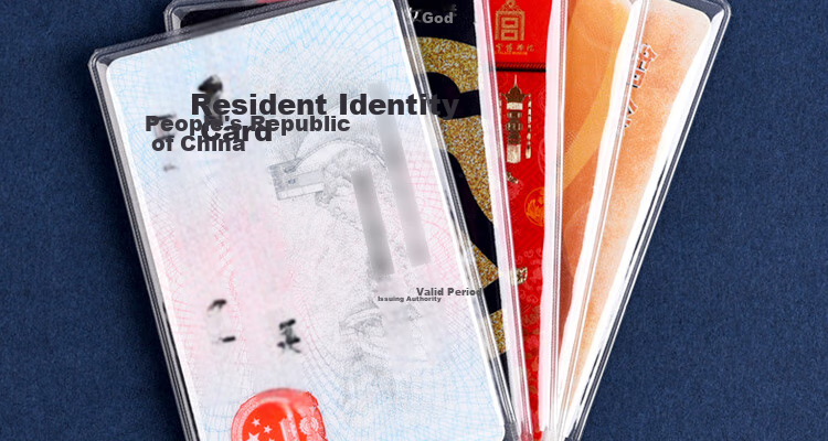 DiLe Transparent Frosted Card Holder for ID Cards, IC Cards, Social Security Cards, Bus Cards, Membership Cards, Protective Case 6513 (Pack of 40) 2