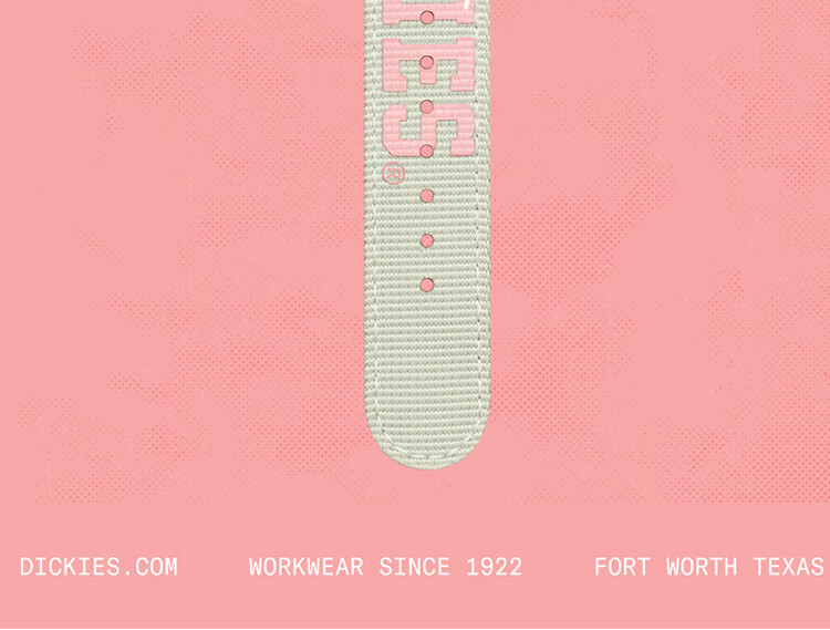 Dickies Watch for Female Students, Vintage Nylon Quartz Watch for Middle And High School Girls, Gift CL-541 Pink 7