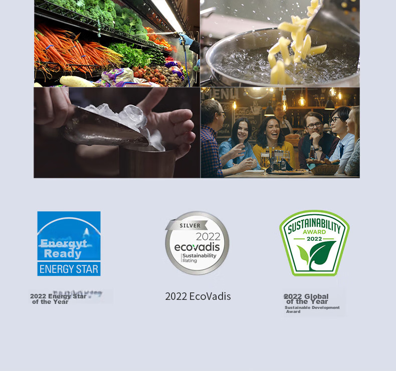 Everpure Coffee Shop/Milk Tea Shop/Chinese Restaurant Water Purifier 3.3L/min 3300L Dual High Flow FreshDrink2-MC2 Simple Model 7