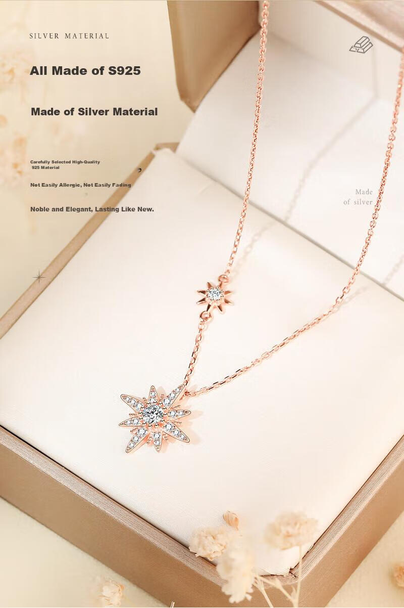 MANHE S925 Silver Necklace for Women, 2026 New Style Pendant Jewelry, Practical Birthday Gift for Wife Or Girlfriend 4