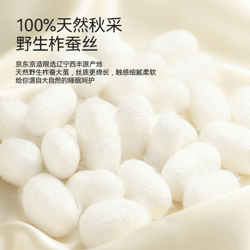 JD Jingzao Cloud Silk Mulberry Silk Pillow A-Class Antibacterial Soft Neck Support Adult Deep Sleep Pillow Core 48*74cm Pair