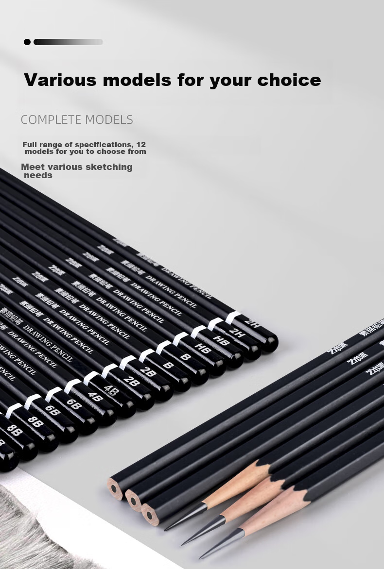 BGI-WAPM Sketch Pencils for Art Students' Exam, Drawing Landscape And Portrait, Beginner's Drawing Pencils, Model #3B, Pack of 12 11