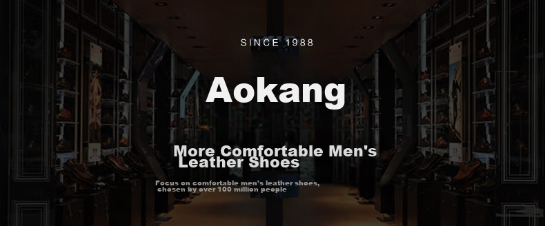 Aokang Business Casual Shoes for Men, Slip-On Cowhide Soft-Soled Comfortable Loafers, Black, Size 41 1