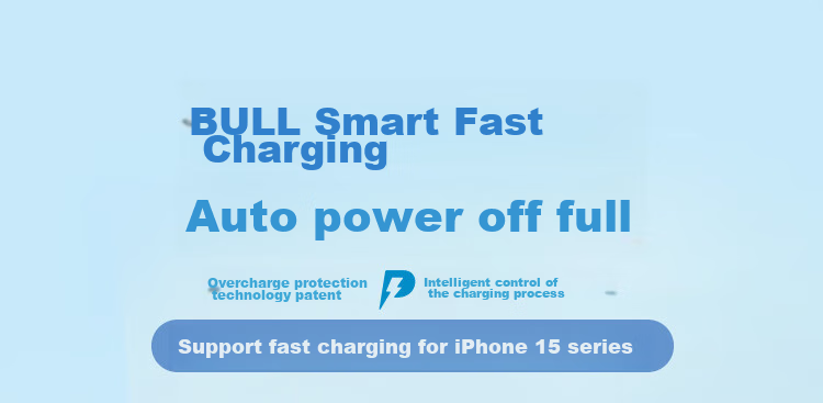 BULL PD20W Charger, Apple IPhone 16 Fast Charging Head, Auto Shut-Off When Fully Charged, Compatible with IPhone 15/14/13 Pro Max/12/11/x/8, Misty Purple 2