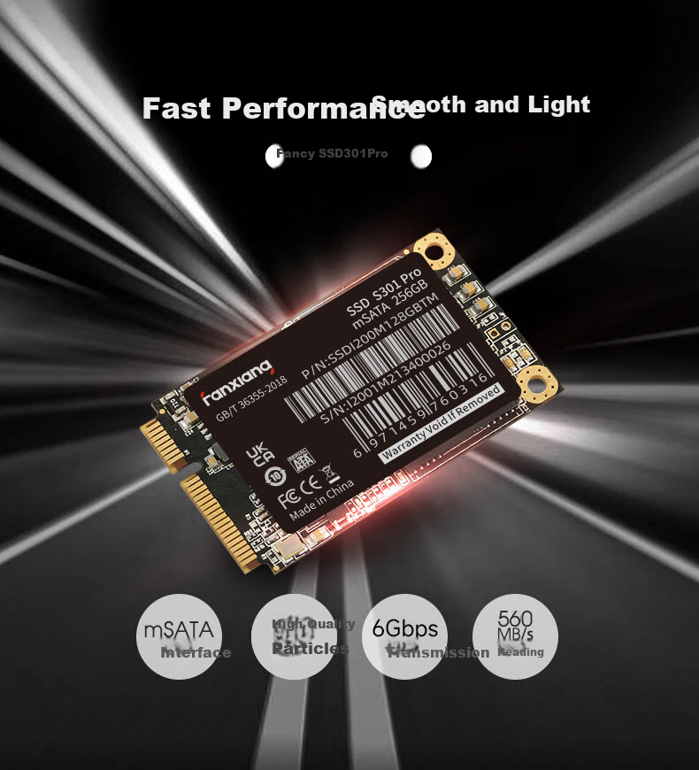 FANXIANG 1TB SSD Solid State Drive, mSATA Interface, Compatible with All-In Desktop And Laptop Computers, S301PRO 1